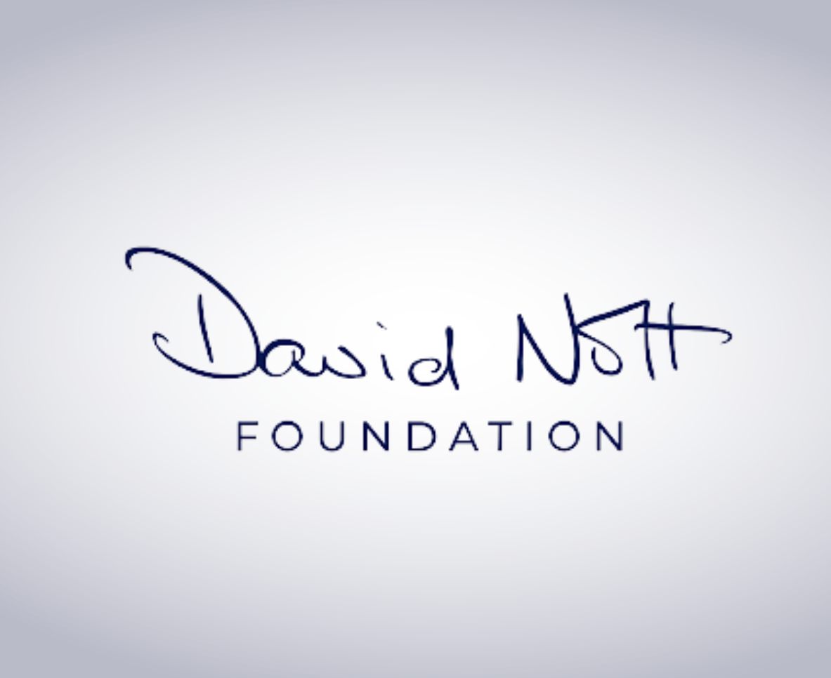 The David Nott Foundation - get started in Global Health