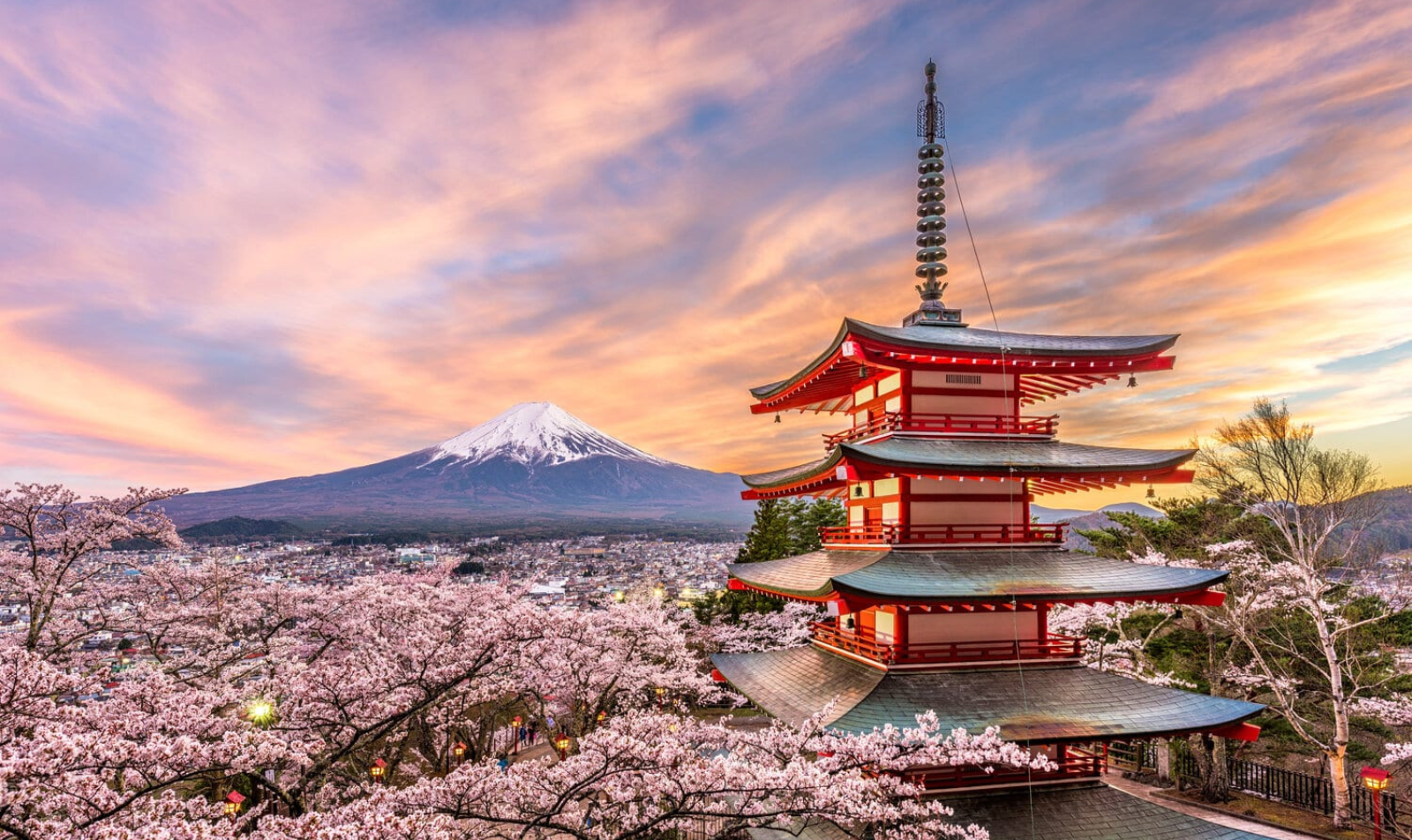 Medical Elective in Japan