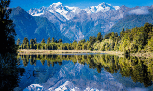 Moving to New Zealand as a UK Doctor? A Comprehensive Guide