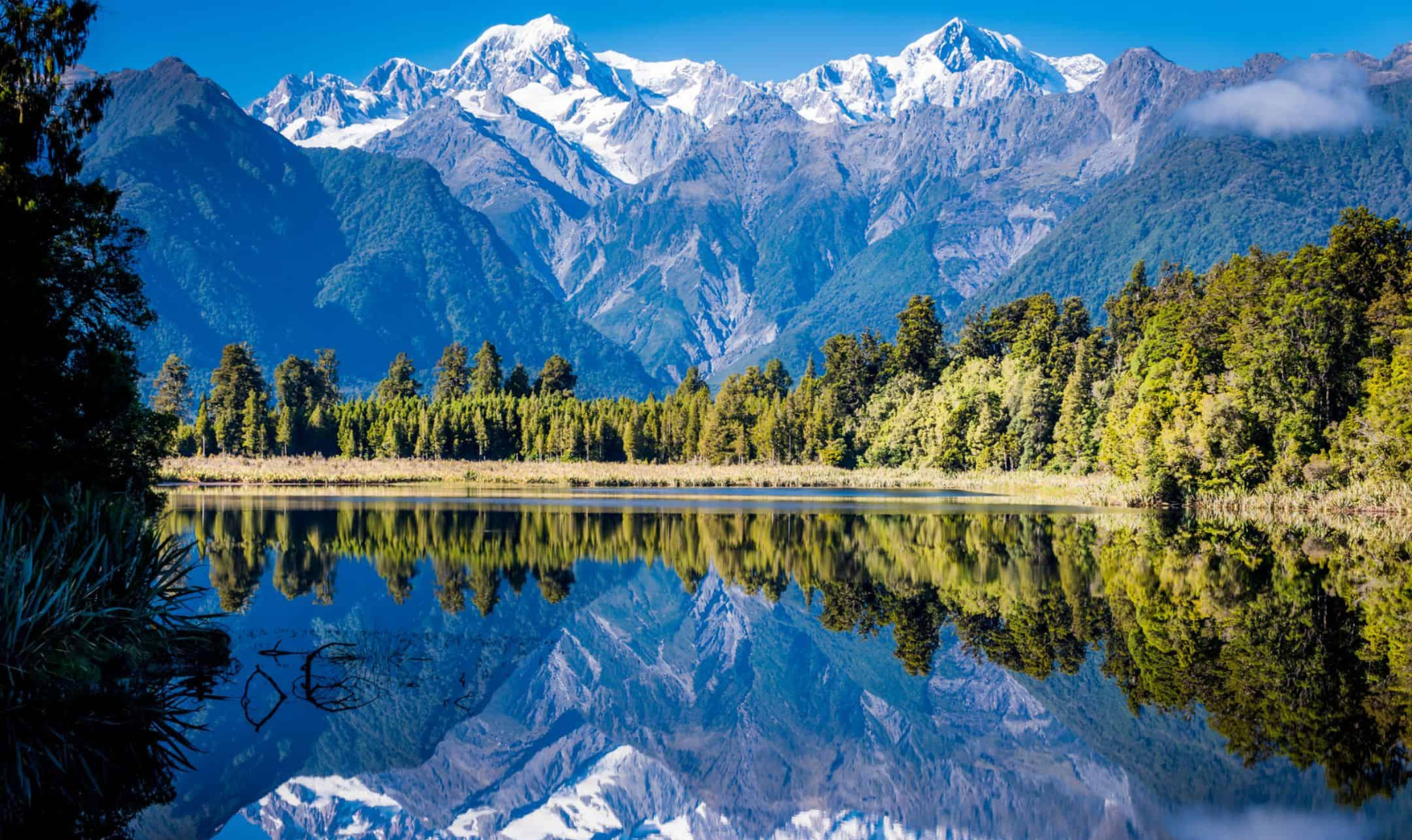 Moving to New Zealand as a UK Doctor? A Comprehensive Guide